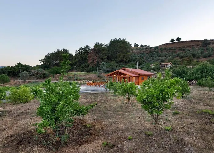 Olymposgarden Villa *