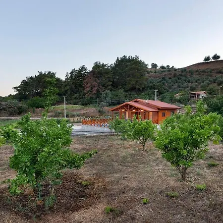 Olymposgarden Villa *